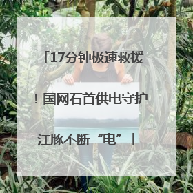 17分钟极速救援！国网石首供电守护江豚不断“电”