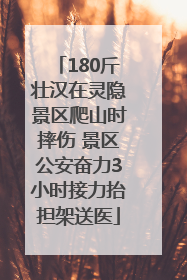 180斤壮汉在灵隐景区爬山时摔伤 景区公安奋力3小时接力抬担架送医