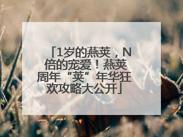 1岁的燕荚，N 倍的宠爱！燕荚周年“荚”年华狂欢攻略大公开