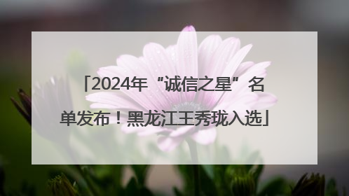 2024年“诚信之星”名单发布！黑龙江王秀珑入选