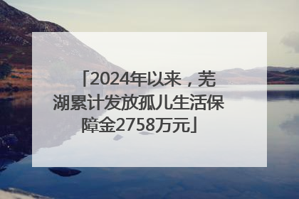 2024年以来，芜湖累计发放孤儿生活保障金2758万元