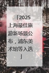 2025上海最佳旅游新场景公布，浦东美术馆等入选