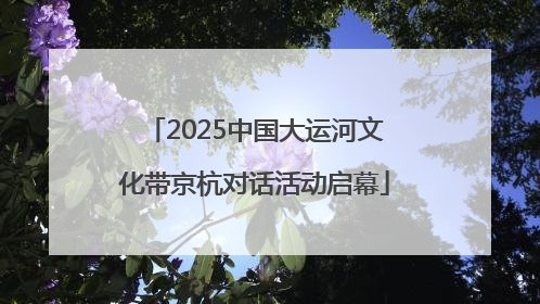 2025中国大运河文化带京杭对话活动启幕