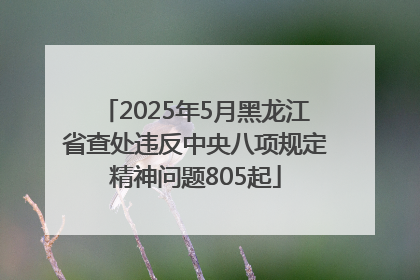 2025年5月黑龙江省查处违反中央八项规定精神问题805起