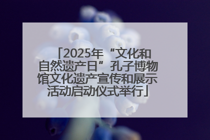 2025年“文化和自然遗产日”孔子博物馆文化遗产宣传和展示活动启动仪式举行