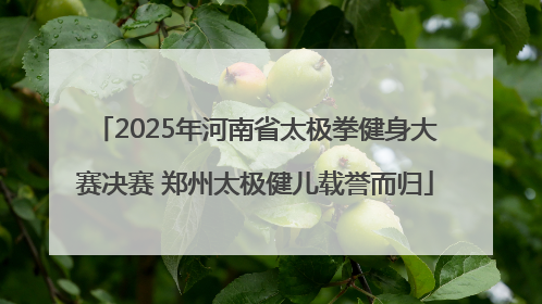 2025年河南省太极拳健身大赛决赛 郑州太极健儿载誉而归