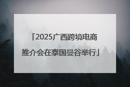 2025广西跨境电商推介会在泰国曼谷举行