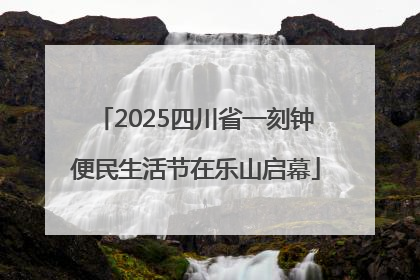 2025四川省一刻钟便民生活节在乐山启幕