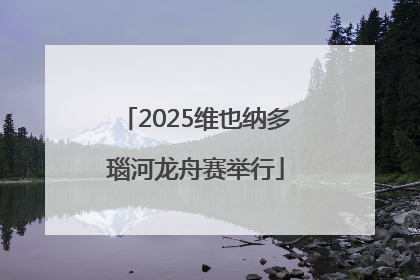 2025维也纳多瑙河龙舟赛举行