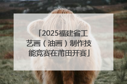 2025福建省工艺画（油画）制作技能竞赛在莆田开赛