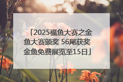 2025福鱼大赛之金鱼大赛颁奖 56尾获奖金鱼免费展览至15日