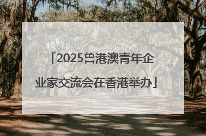 2025鲁港澳青年企业家交流会在香港举办