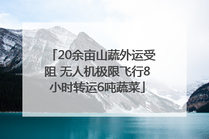20余亩山蔬外运受阻 无人机极限飞行8小时转运6吨蔬菜
