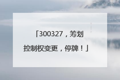 300327，筹划控制权变更，停牌！