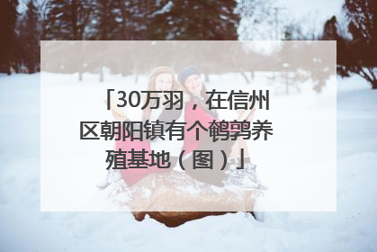 30万羽，在信州区朝阳镇有个鹌鹑养殖基地（图）