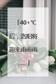 40+℃后，洛阳将迎来雨雨雨……