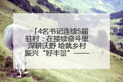 4名书记连续5届驻村：在接续奋斗里深耕沃野 绘就乡村振兴“好丰景”——浦发银行南京分行助力脱贫攻坚、帮促乡村振兴记事（二）