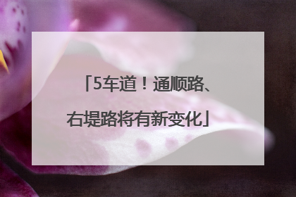 5车道！通顺路、右堤路将有新变化