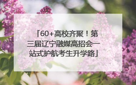 60+高校齐聚！第三届辽宁融媒高招会一站式护航考生升学路
