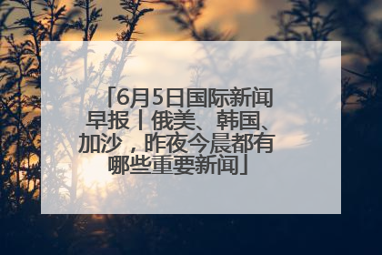 6月5日国际新闻早报丨俄美、韩国、加沙，昨夜今晨都有哪些重要新闻
