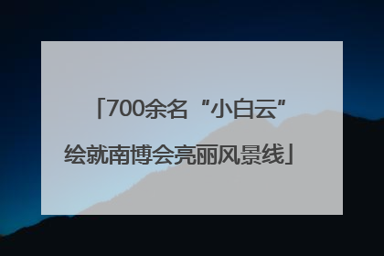 700余名“小白云”绘就南博会亮丽风景线