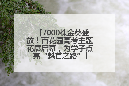 7000株金葵盛放！百花园高考主题花展启幕，为学子点亮“魁首之路”