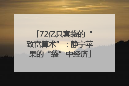 72亿只套袋的“致富算术”：静宁苹果的“袋”中经济