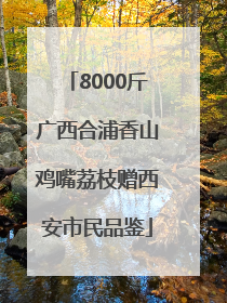 8000斤广西合浦香山鸡嘴荔枝赠西安市民品鉴