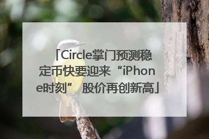 Circle掌门预测稳定币快要迎来“iPhone时刻” 股价再创新高