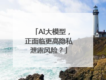 AI大模型，正面临更高隐私泄露风险？