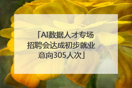 AI数据人才专场招聘会达成初步就业意向305人次