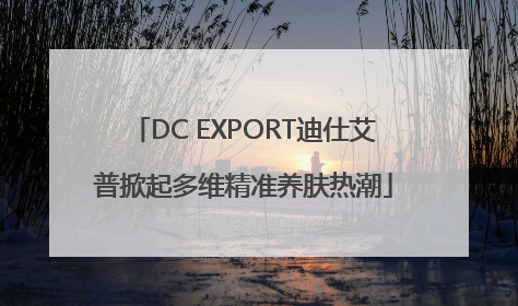 DC EXPORT迪仕艾普掀起多维精准养肤热潮