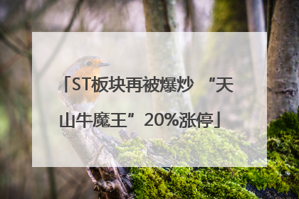 ST板块再被爆炒 “天山牛魔王”20%涨停