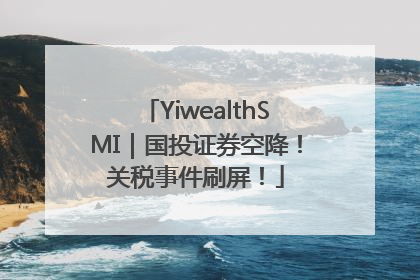 YiwealthSMI｜国投证券空降！关税事件刷屏！